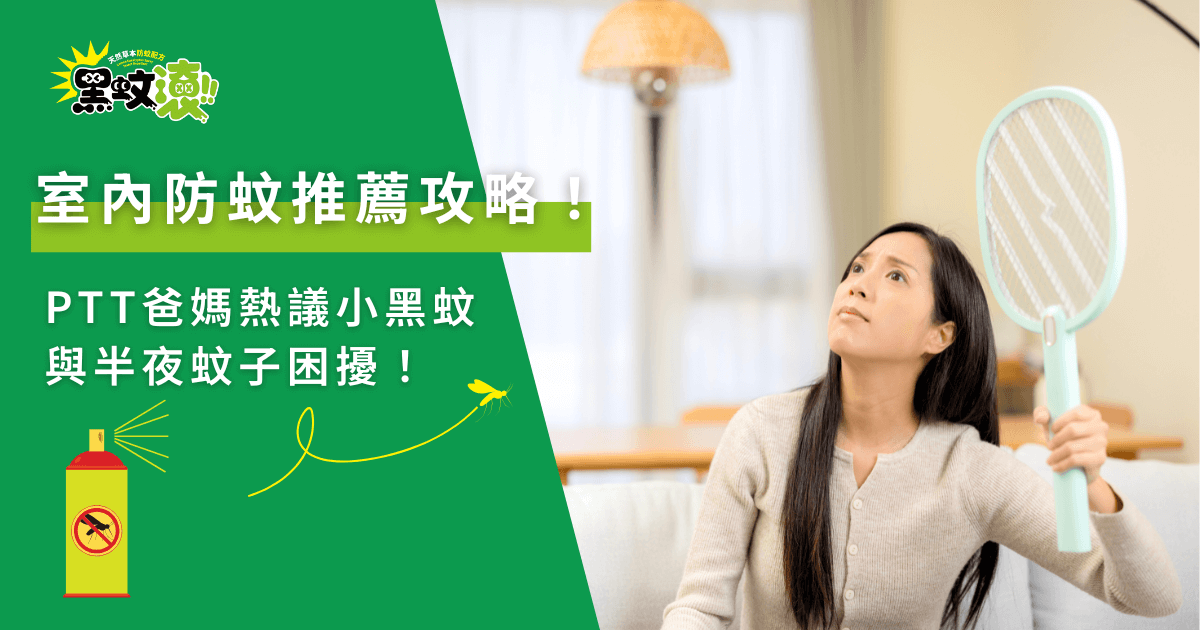 室內防蚊推薦攻略，PTT爸媽熱議小黑蚊與半夜蚊子困擾