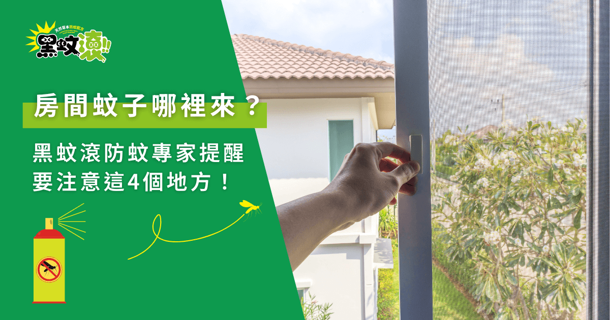 房間蚊子來源解析，黑蚊滾防蚊專家提醒4大重點