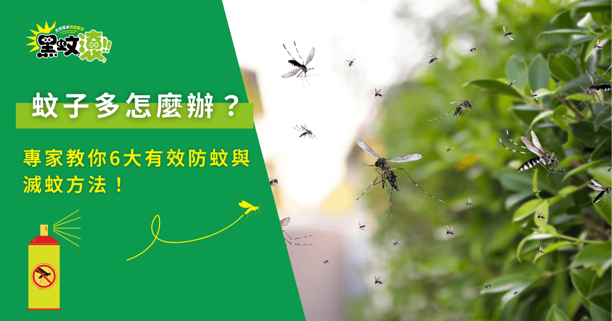 蚊子多怎麼辦？專家教你6大有效防蚊與滅蚊方法
