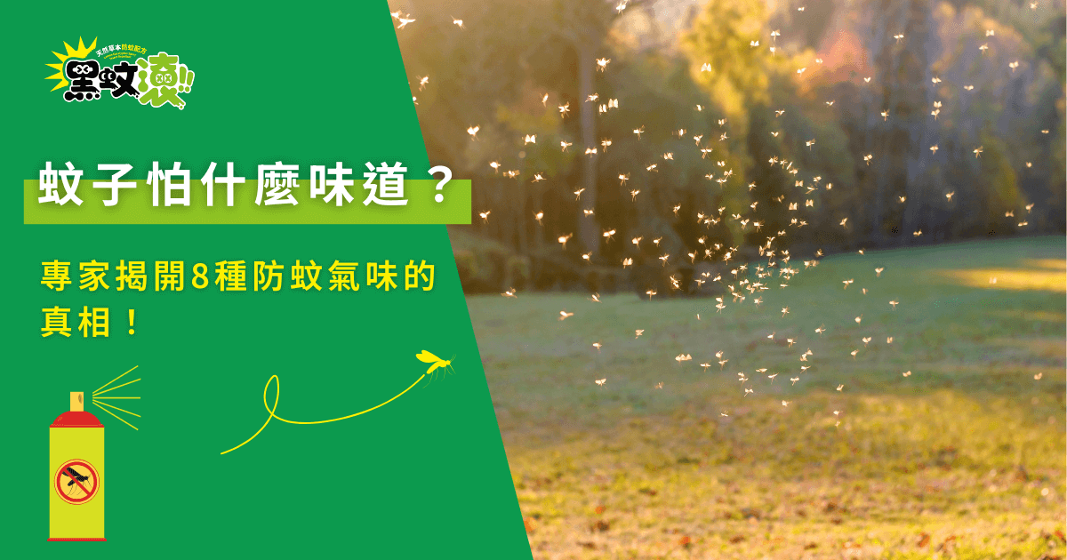 蚊子怕什麼味道？夕陽草地出現大群蚊蟲，左側綠色看板寫著專家揭開 8 種防蚊氣味的真相
