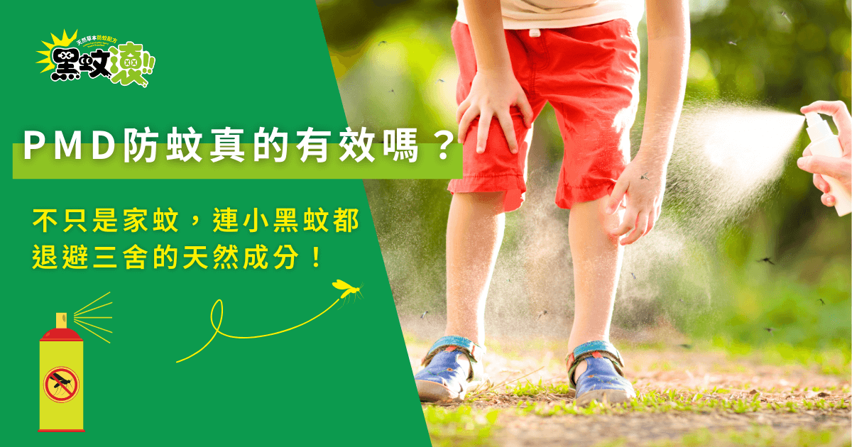 孩子被防蚊噴霧保護，遠離蚊蟲叮咬，使用PMD防蚊液