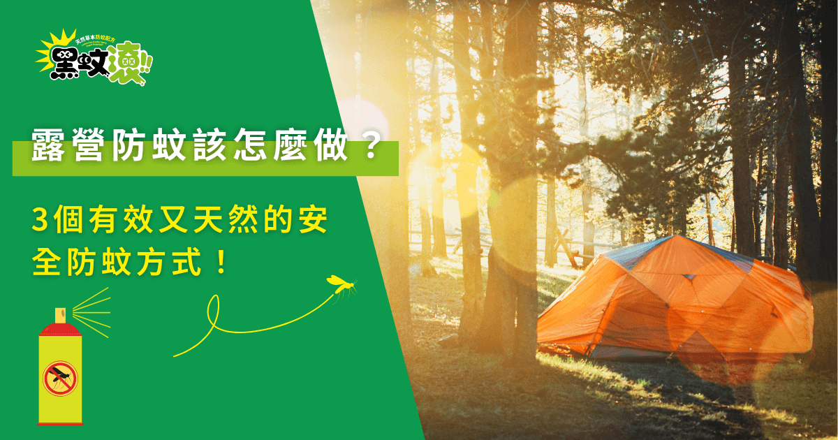 露營防蚊方法與天然防蚊技巧教學圖