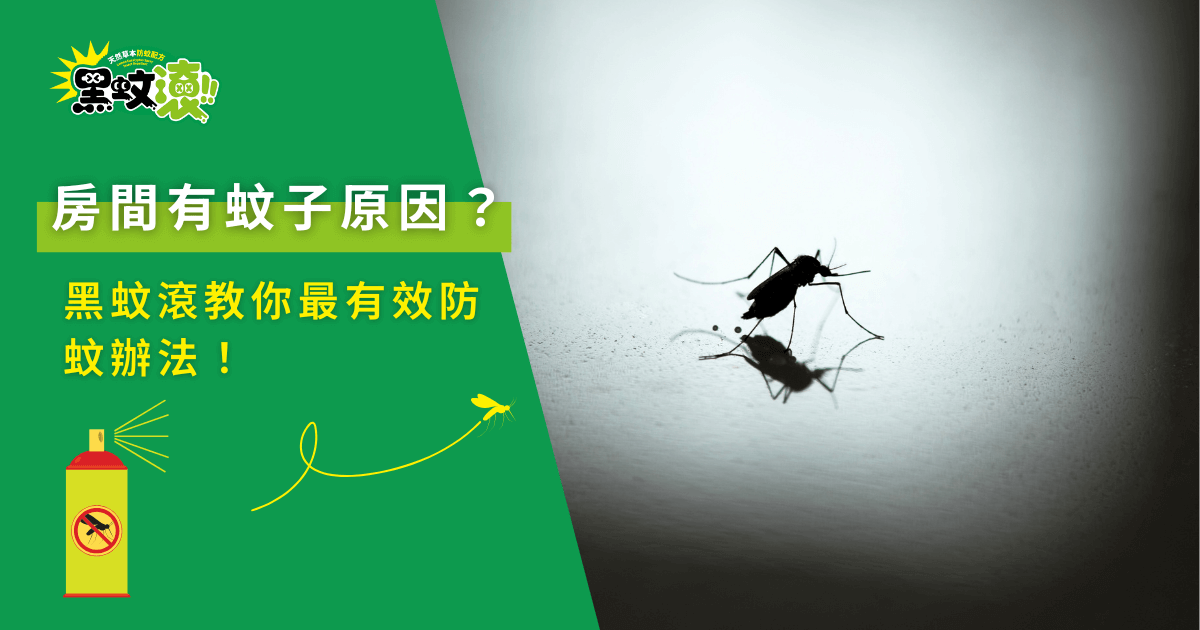 防止蚊子進屋的有效方法