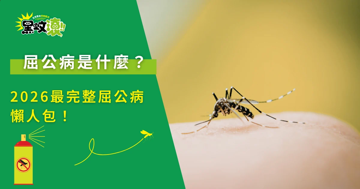 屈公病是什麼，蚊子叮咬皮膚與傳染風險示意