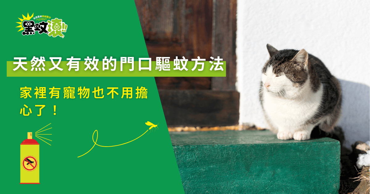 天然又有效的門口驅蚊方法，家有寵物也安心