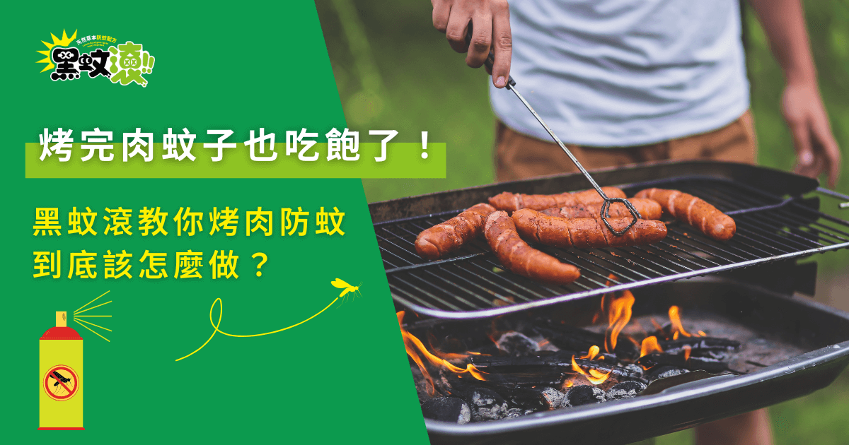 烤肉防蚊怎麼做？黑蚊滾教你有效驅蚊不掃興！