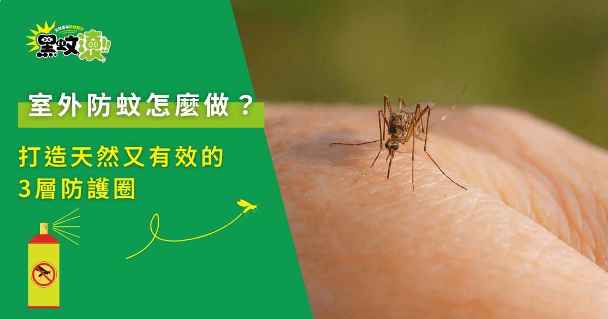 戶外防蚊示意圖，蚊子停在皮膚上叮咬的近距離畫面