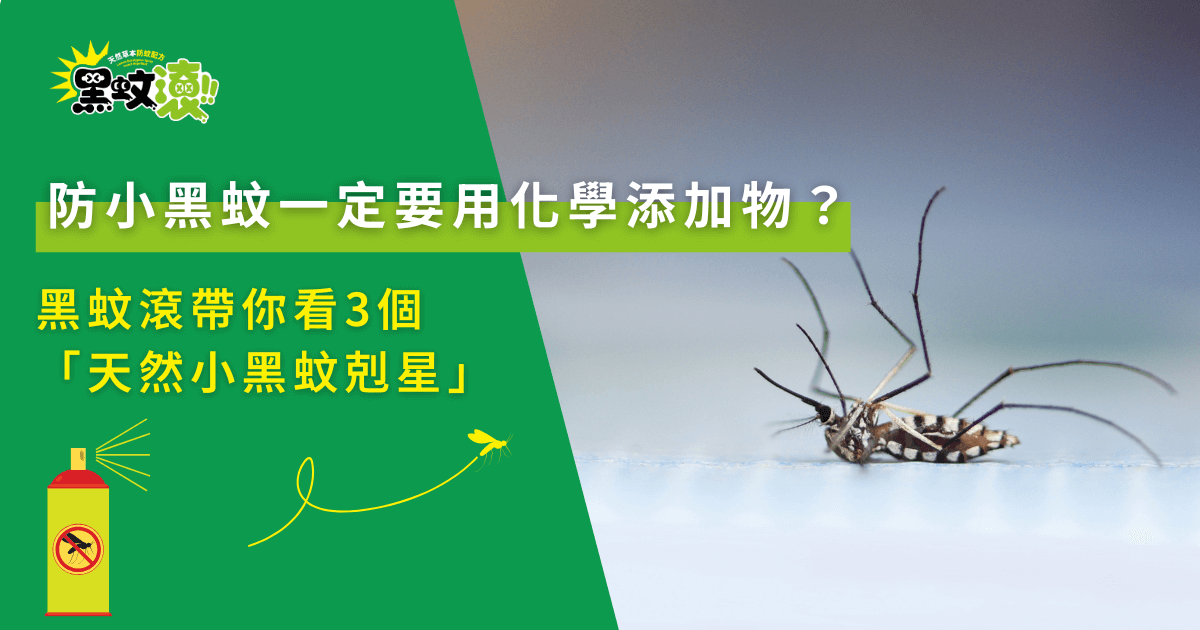 天然防小黑蚊方法示意圖，小黑蚊倒地特寫與驅蚊圖卡宣傳