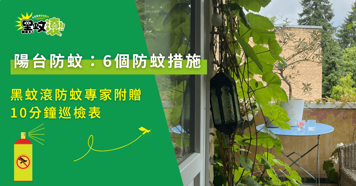 陽台防蚊6個實用措施示意，搭配植栽環境進行黑蚊防治重點整理
