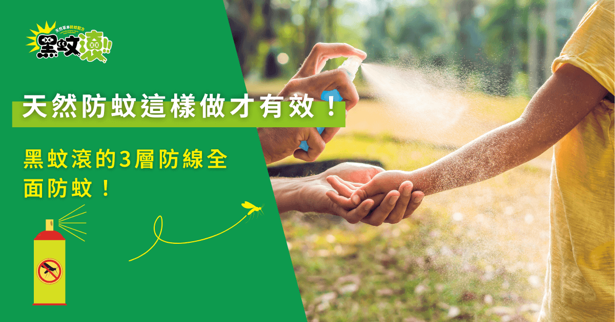 天然防蚊這樣做才有效！黑蚊滾的3層防線全面防蚊