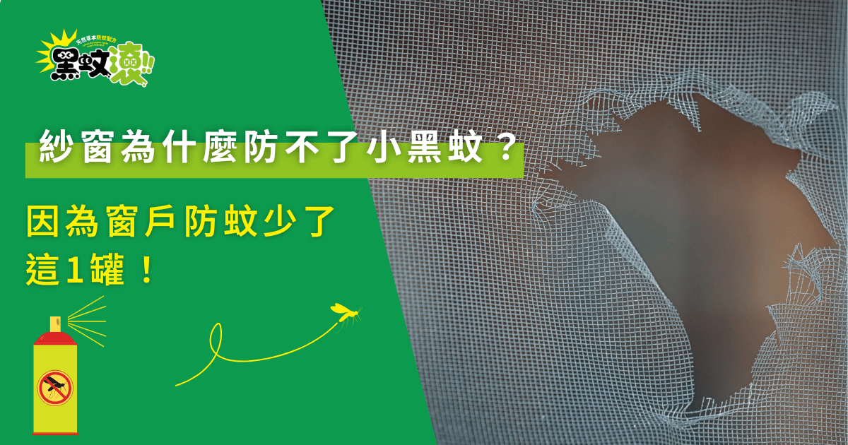 紗窗為什麼防不了小黑蚊？因為窗戶防蚊少了這1罐！