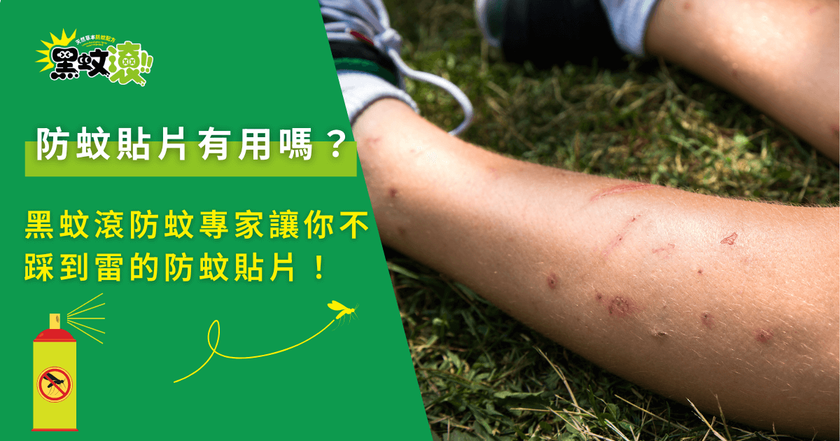 防蚊貼片有用嗎？黑蚊滾防蚊專家教你不踩雷選擇！