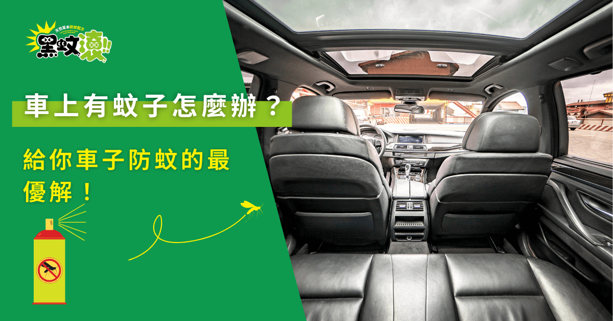 車上有蚊子怎麼辦，汽車內使用防蚊罐打造無蚊行車空間