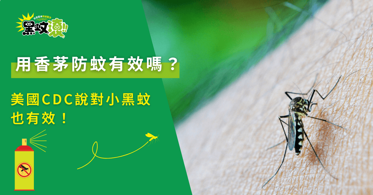 香茅防蚊效果解析，小黑蚊停留在皮膚上的實際畫面