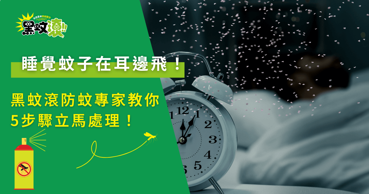 睡覺蚊子在耳邊飛，夜間蚊蟲干擾睡眠與即時防蚊處理示意畫面