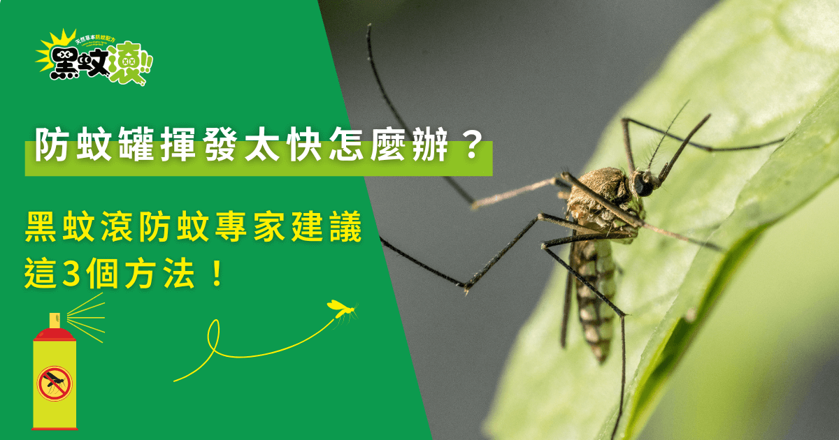 防蚊罐揮發太快怎麼辦？蚊子停留葉面與防蚊效果下降的實際示意畫面