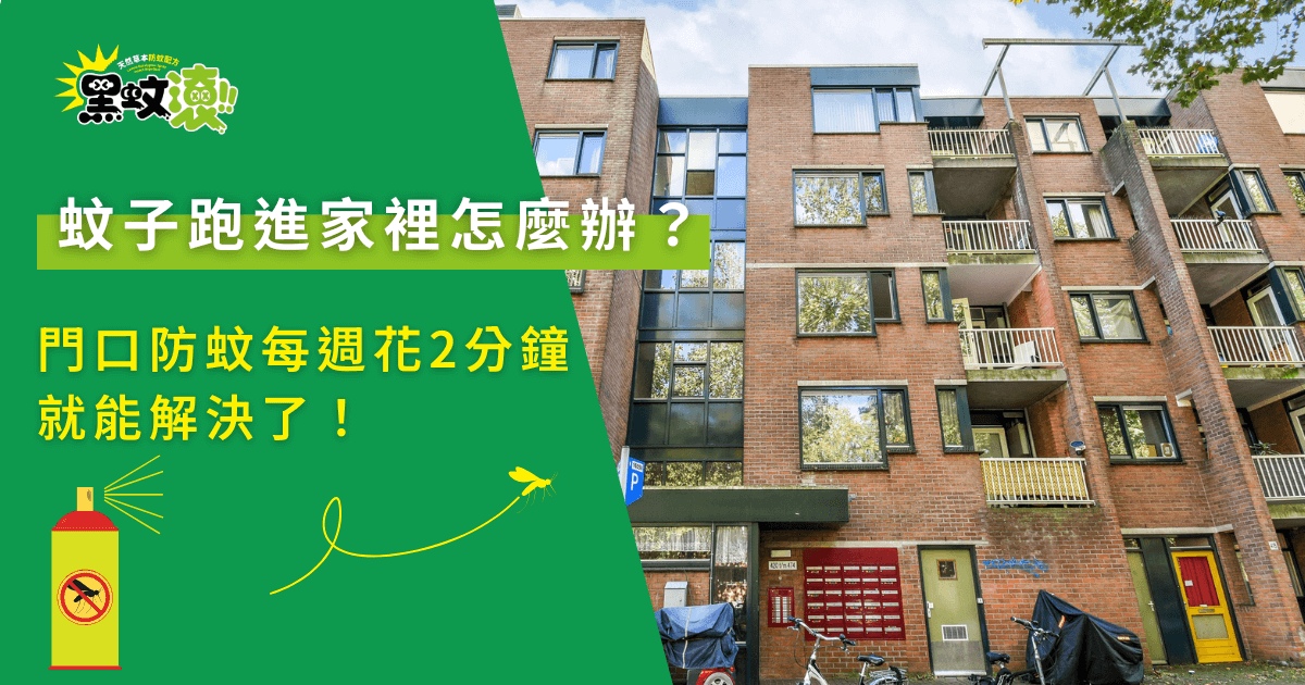 蚊子跑進家裡怎麼辦？公寓門口環境與居家防蚊重點示意畫面