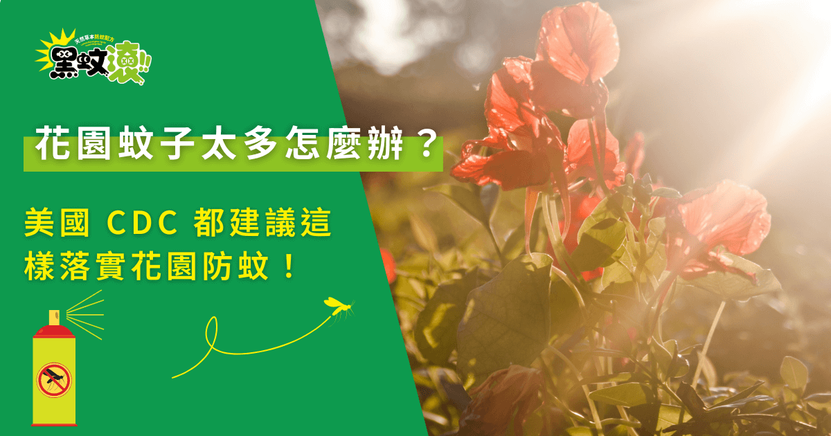 花園蚊子太多怎麼辦？戶外花園環境與自然防蚊佈置的實際示意畫面