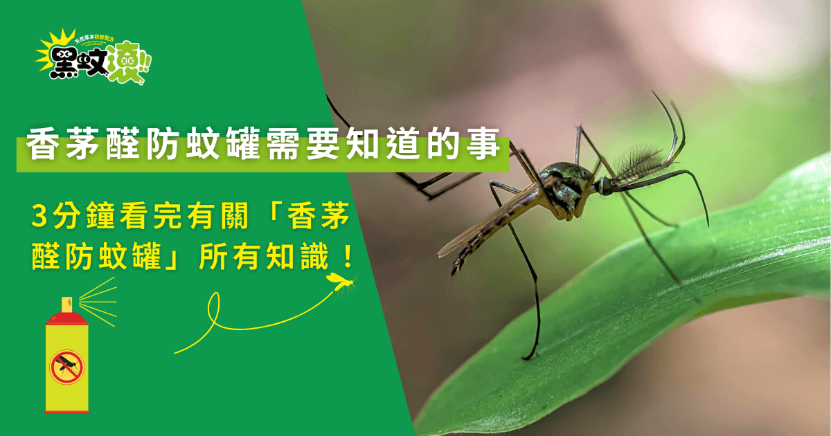 香茅醇防蚊罐需要知道的事，蚊子停留葉面與天然防蚊成分示意畫面