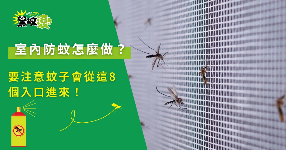 室內防蚊方法與蚊子停在紗窗上的示意圖
