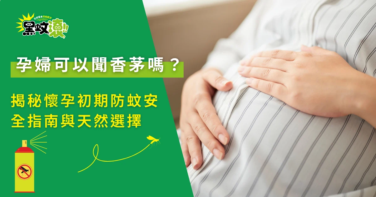 孕婦防蚊指南，孕肚與香茅使用安全性示意畫面